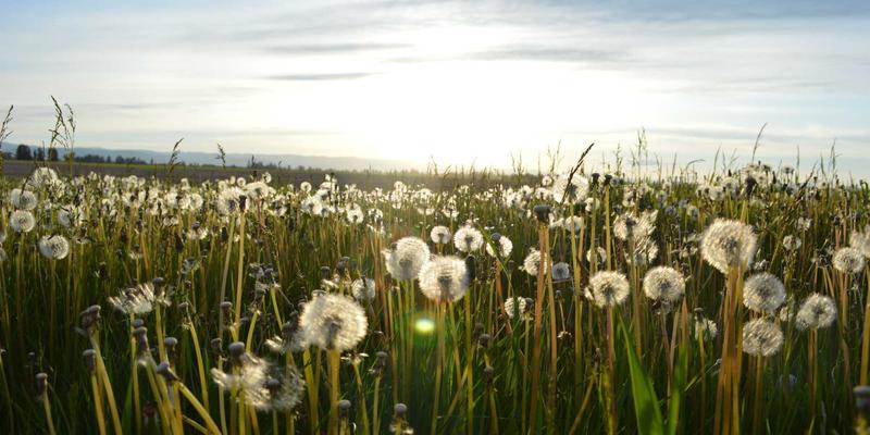 伊扫芒慢时尚实践指南：从穿搭资讯到衣物护理的全链条可持续生活
