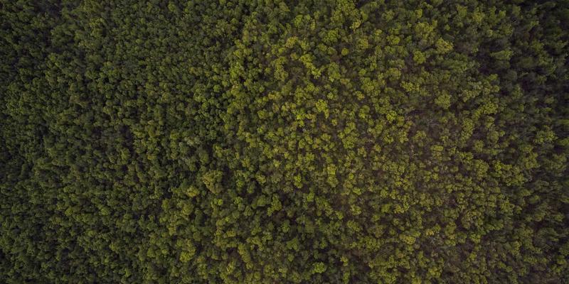 伊扫芒:解码当代潮流密码,定义你的专属风格语言