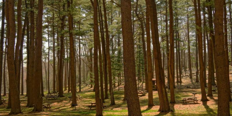 伊扫芒设计风格：新中式美学再诠释，传统纹样与剪裁的当代新生