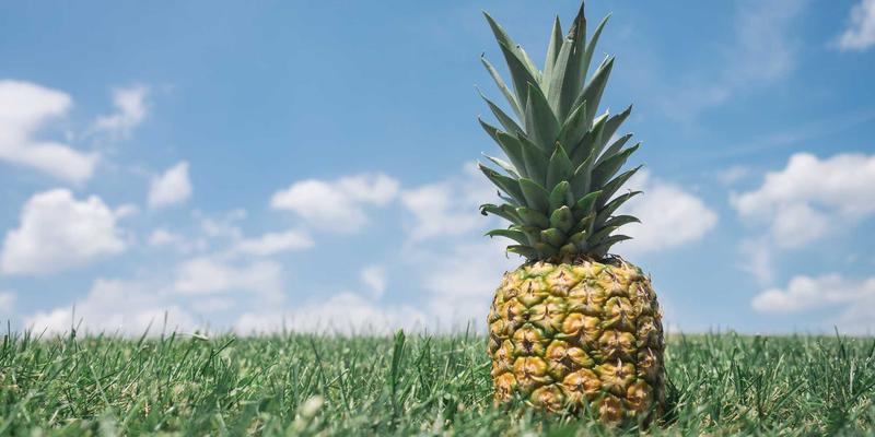 伊扫芒风格：智能穿戴设备如何重塑时尚美学与日常穿搭