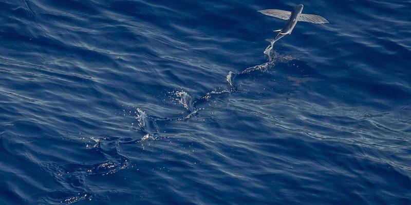 伊扫芒风格资讯：职场女性如何在保守行业中穿出个性与权力的着装新法则
