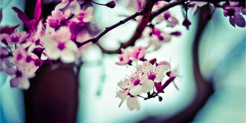 时尚69:解码风格、穿搭与生活方式的融合方程式