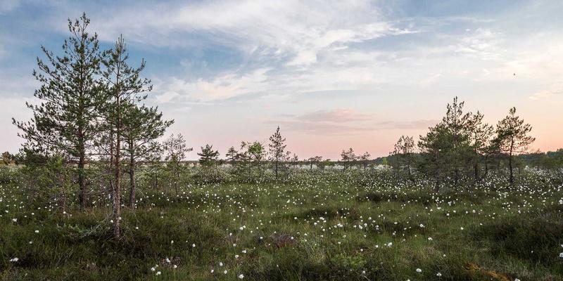 时尚74：解码当代生活方式的潮流密码与穿搭哲学