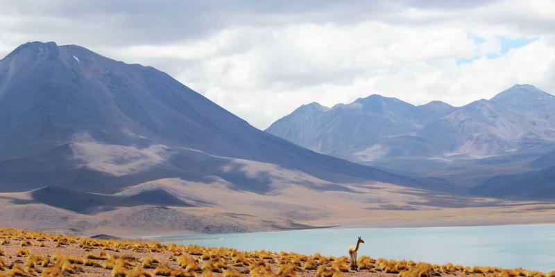 时尚88：解码当代潮流密码，探索设计与时尚的共生美学