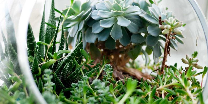 时尚98解码：当潮流邂逅伊扫芒，如何定义你的专属风格？