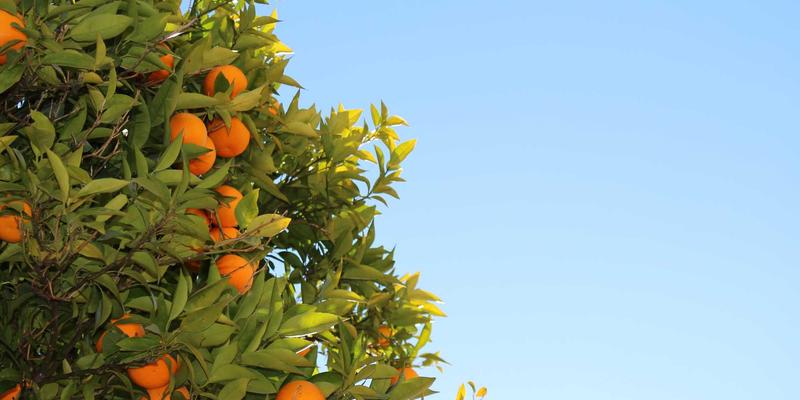 时尚教育变革：新兴设计院校如何以生活方式与穿搭思维培养下一代创意领袖