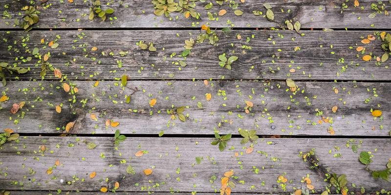 时尚教育新趋势：跨学科人才培养如何重塑行业风格与穿搭未来