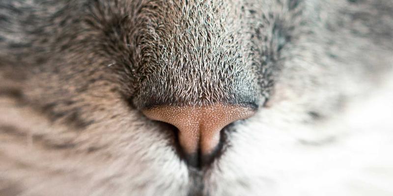 潮流资讯 | 东方美学复兴：新中式设计如何重塑现代都市穿搭