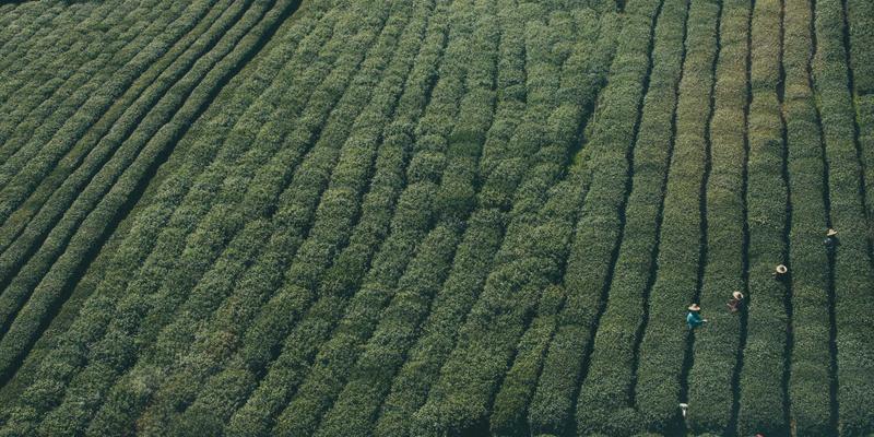 解码时尚12:潮流资讯如何重塑当代设计语言